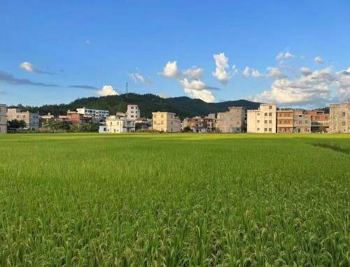 阿森纳VS巴黎圣日耳曼直播_阿森纳VS巴黎圣日耳曼免费直播在线直播